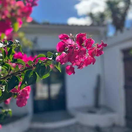 Casa Bizon - Your Oasis With Private Pool Cómpeta