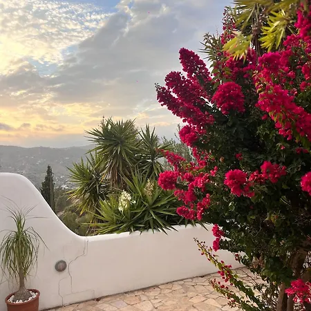 Casa Bizon - Your Oasis With Private Pool