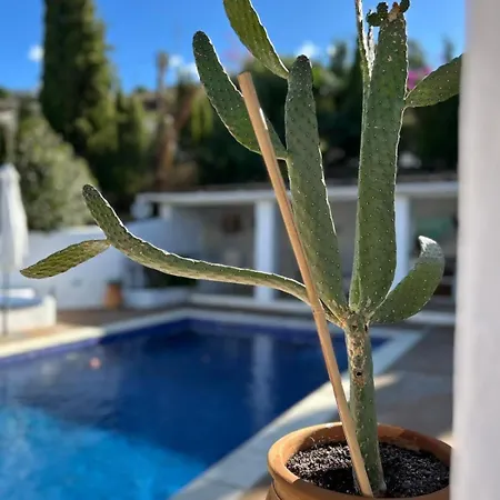 Dom wakacyjny Casa Bizon - Your Oasis With Private Pool